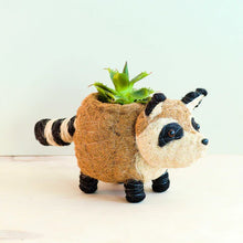 Load image into Gallery viewer, RACCOON PLANTER - HANDMADE PLANT POT
