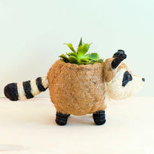 Load image into Gallery viewer, RACCOON PLANTER - HANDMADE PLANT POT

