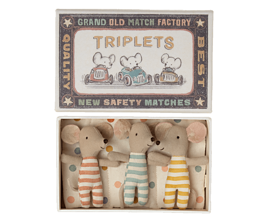 BABY MICE, TRIPLETS IN MATCHBOX