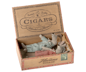 Last one left - Mum and dad mice in cigarbox