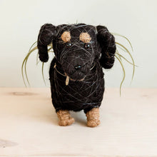 Load image into Gallery viewer, DACHSHUND DOG PLANTER - COCO PLANTER
